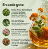Drenaje Linfático Memphora® - Gotas Naturales